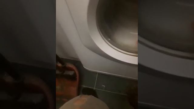 Стирка деликатных вещей Шерсть 30° смотреть онлайн