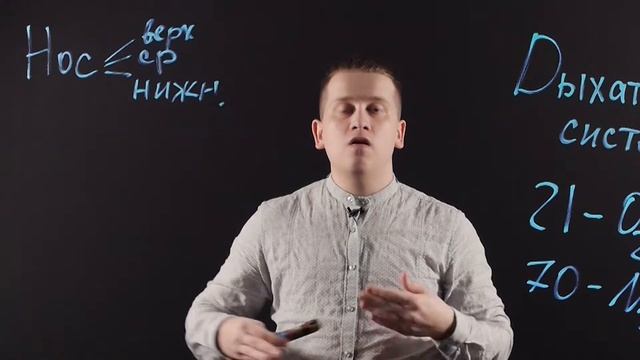 Биология 8 класс. Дыхательная система смотреть онлайн