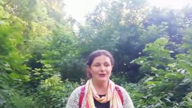 Онлайн концерт  Не от дел .