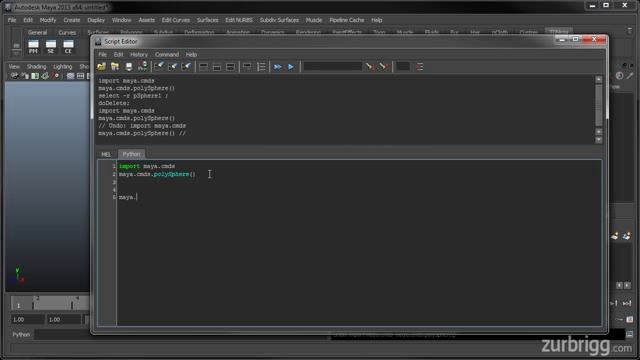 scripting environment in python смотреть онлайн