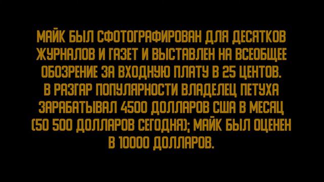 Безголовый цыпленок Майк смотреть онлайн