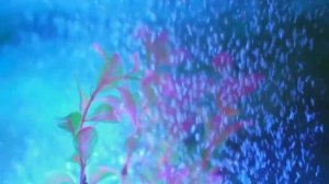 Кто понял жизнь, тот больше не спешит.mp4