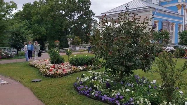 ДВОРЦЫ САНКТ-ПЕТЕРБУРГА ???: #царскоесело #ораниенбаум #архитектура #дворцы #санктпетербург смотреть онлайн