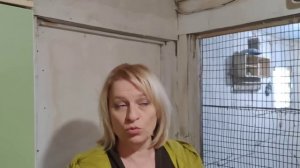 Оптимальная температура зимой в курятнике