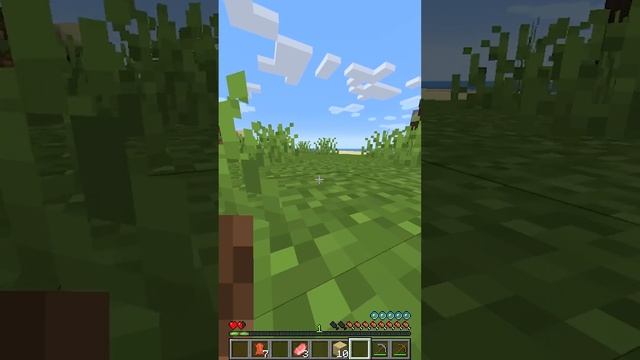 Minecraft, But You Shapeshift Every 30 Seconds... смотреть онлайн