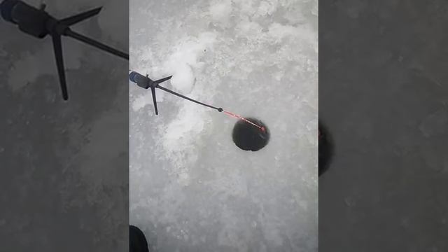 вот так бывает тоска возьмет и не посидишь тихо смотреть онлайн