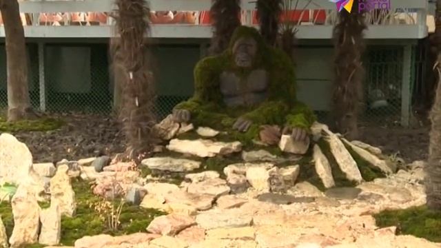 Новогоднее оформление Сочи будет конкурировать с Москвой смотреть онлайн