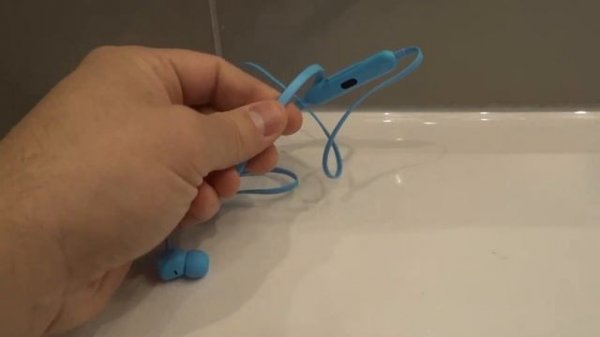 Beats Flex All Day Wireless Earphones Honest Review And Demonstration