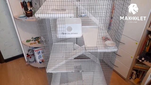 Клетка для крыс 48х62х120см/На заказ/Обзор. смотреть онлайн
