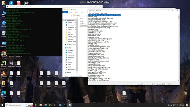 FREE MASS IP TO DOMAIN | REVERSE IP | GRAB MILLIONS OF SITES смотреть онлайн