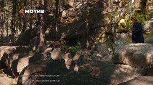 Лето. Куда оно вечно торопится?