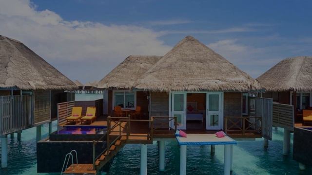 Sun Siyam Vilu Reef, Dhaalu Atoll, Maldives смотреть онлайн