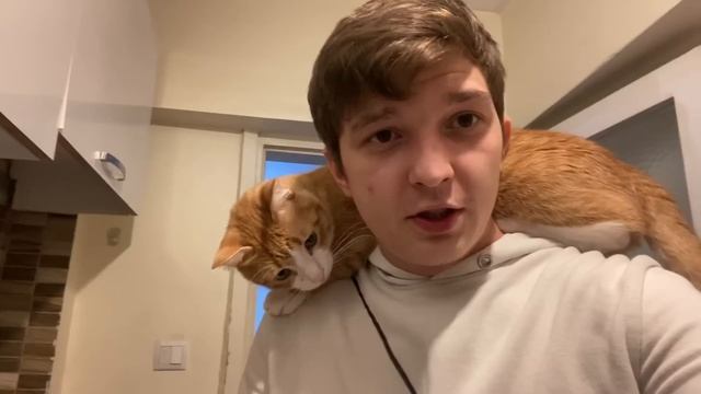Как моя подруга сидела в Тюрьме для иностранцев в Турции?! Кто должен платить в отношениях?! смотреть онлайн