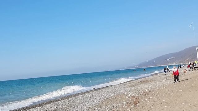 Зимуем у моря на пенсии. Всё возможно! смотреть онлайн