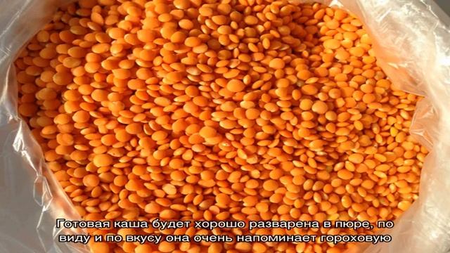 Красная чечевица в мультиварке