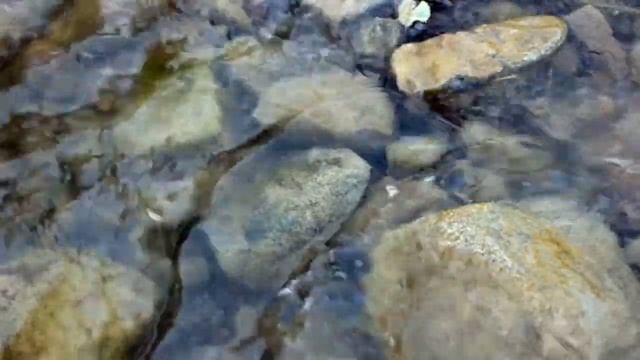 ПРИЯТНЫЙ ШУМ ВОДЫ,УСПОКАИВАЮЩЕЕ ВИДЕО смотреть онлайн