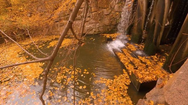 Шум водопада в осеннем парке, звуки воды, белый шум для крепкого сна и расслабления смотреть онлайн