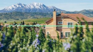 Раисат Магомедова - НАРУШИЛ ПОКОЙ 2024