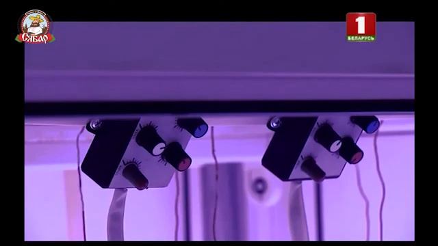 Домашняя фитолампа «СЯБАР СВЕТЛЯЧОК», КОТОРАЯ РЕАЛЬНО РАБОТАЕТ! смотреть онлайн