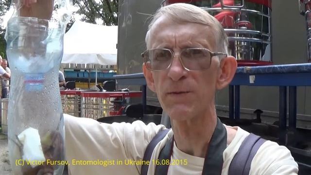 Пчеловодство Украины: "Чарунка", Ловушка Для Ос и Ярмарка Меда смотреть онлайн