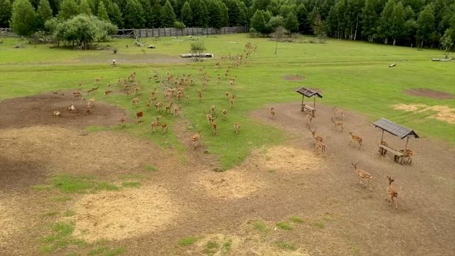 Прекрасный Татарстан — Рыбно-Слободской район