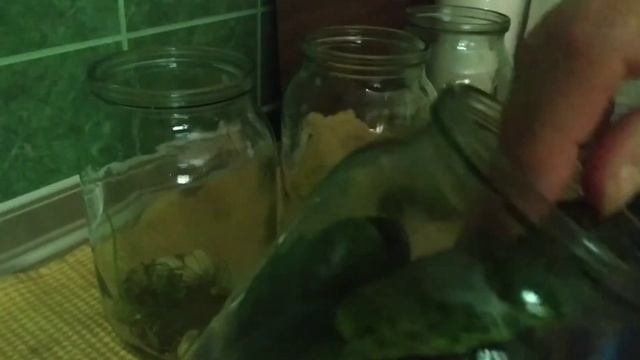 маринованные огурцы как ма́газинные без затей