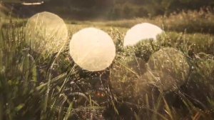 Как жили 4 самых БОГАТЫХ сподвижника Пророка Мухаммада (ﷺ)