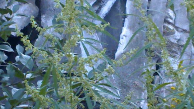 Весело живем смотреть онлайн