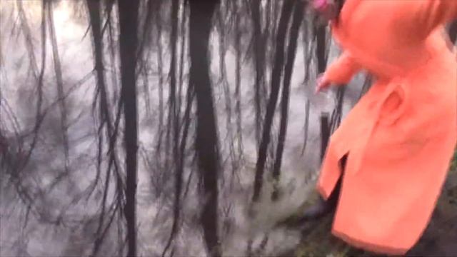 Вода Почернела МГНОВЕННО! Чудеса от Кикиморы смотреть онлайн