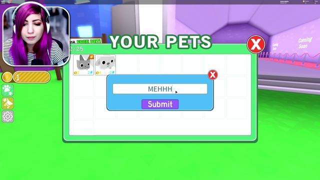 MY NEW PETS IN ROBLOX PET SIMULATOR! смотреть онлайн