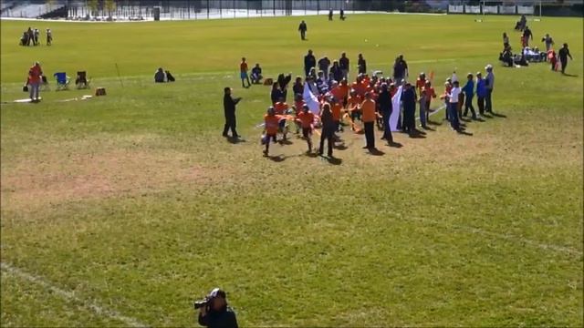 Brighton vs Alta смотреть онлайн