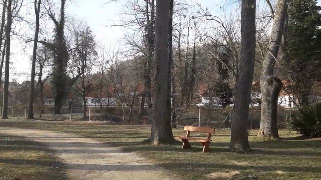 Утренняя прогулка в парке Залачаня- Венгрия. Природа пробуждается смотреть онлайн