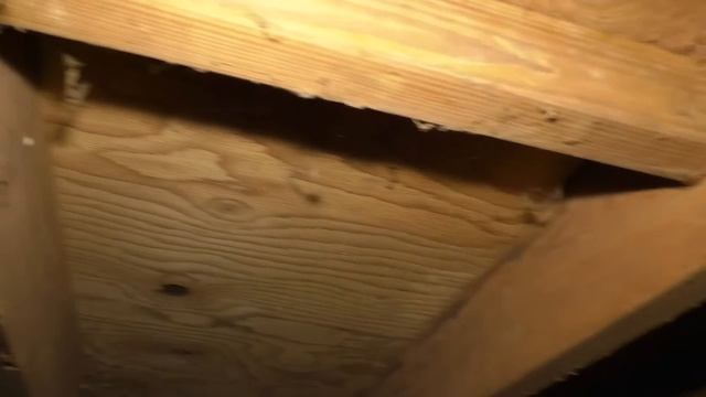 Panasonic AG-AC30 house tear out night shoot with built in LED light смотреть онлайн