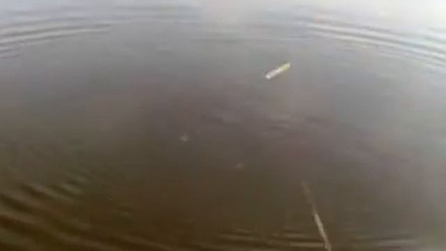 рыбалка смотреть онлайн