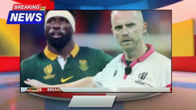 Wayne Barnes announces retirement after refereeing Rugby World Cup final.. смотреть онлайн