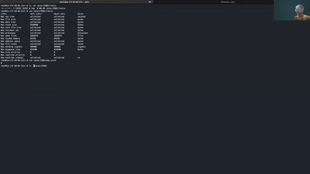 Who Killed My Pod? #Whodunit - Suneeta Mall, Nearmap смотреть онлайн
