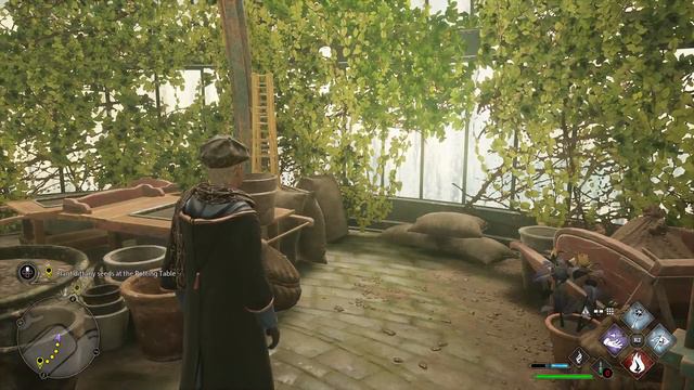 Hogwarts Legacy PS4 Pro Live Episode 11