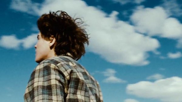 Into The Wild - Wander