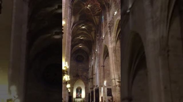 Mallorca private tour guides-organ concert-La Seo-Palma de Mallorca cathedral смотреть онлайн
