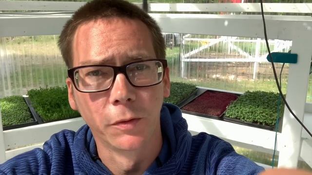 Microgreens Palace (Working with small retail) смотреть онлайн