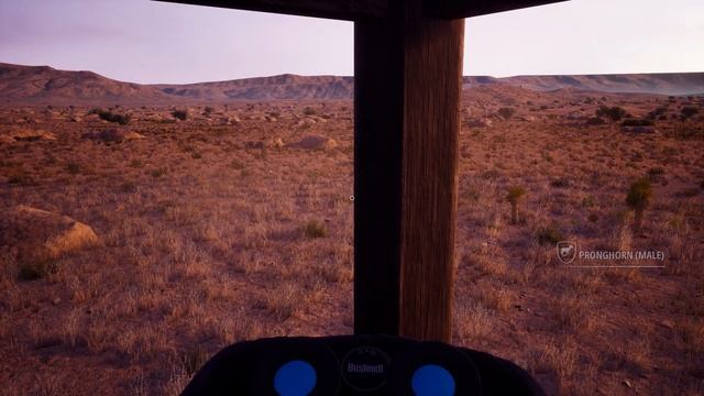 This Turkey Hunt was Legendary! Hunting Simulator 2 смотреть онлайн