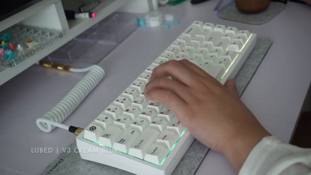 Akko V3 Cream Blue | Creamy And Crunchy Tactile Switch!