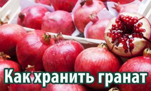 Как хранить гранат.