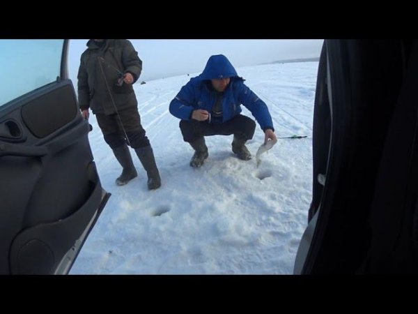 охота за судаком 2022!сработал VIB