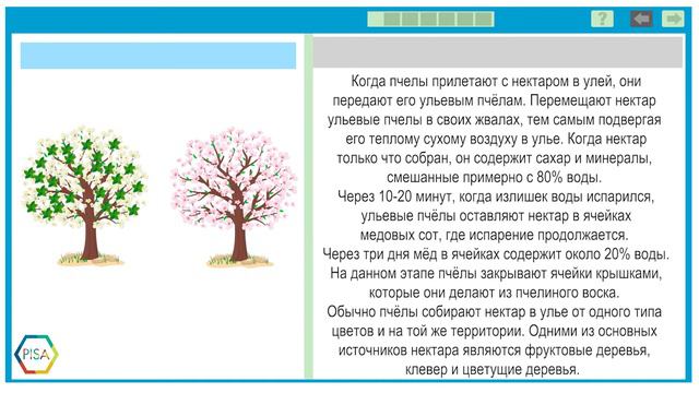 Грамотность чтения – Пчелы смотреть онлайн