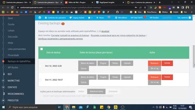 O tema perfeito para construir sua loja online: Woodmart! смотреть онлайн