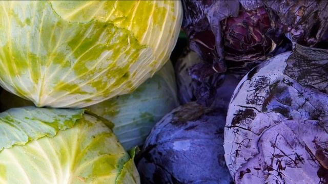 Рассада капусты в домашних условиях смотреть онлайн