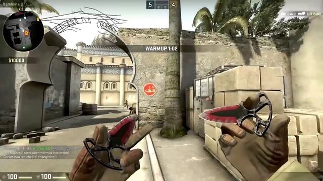 РЕАКЦИИ НА ВЫПАДЕНИЕ НОЖА [SHADOW CASE] смотреть онлайн