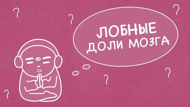 Лобные доли мозга. Венец творения и причина несварения! Трудный возраст префронтальной коры. Ликбез смотреть онлайн
