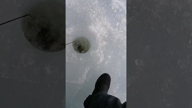 Первый день рыбалки смотреть онлайн